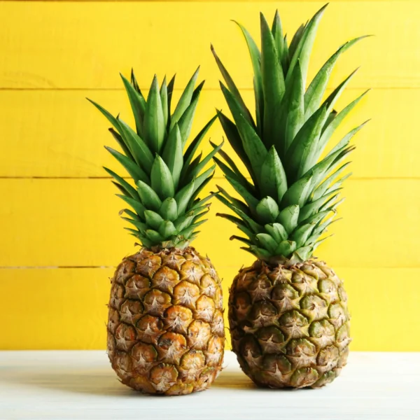 Ananas (Queen)